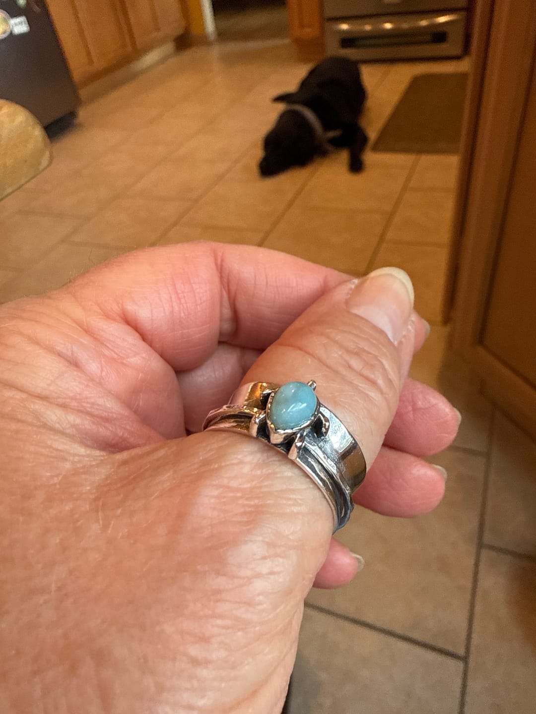 Customer photo review of Turtle Larimar Fidget Ring