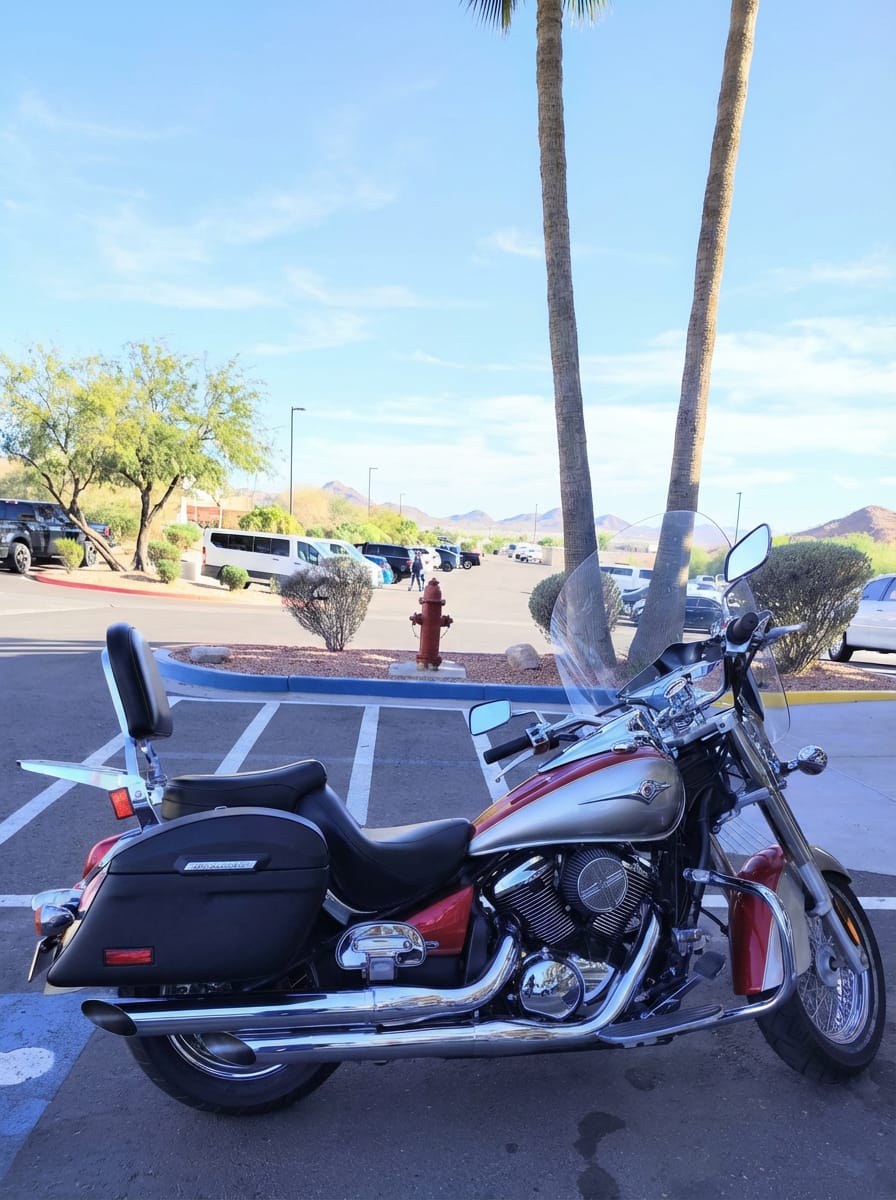 Customer photo review of 44L - Lamellar Stallion Extra Large Kawasaki Vulcan 900 Classic VN900 Leather Covered Motorcycle Hard Saddlebags
