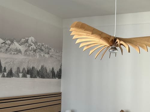 Customer photo review of Aigle teinté Chêne | Suspension