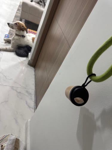 Customer photo review of CT0989 1 Pieza De Dispensador De Basura Para Mascota