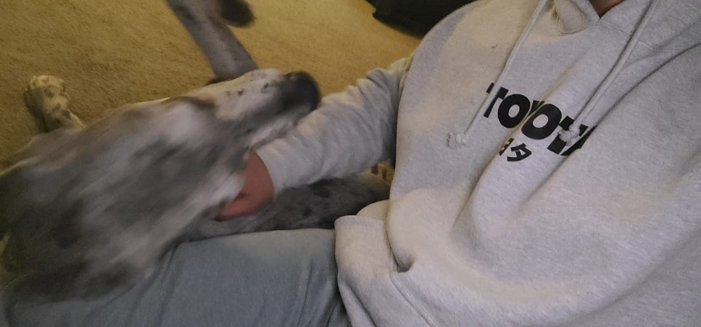 Customer photo review of JDM Toyota Heavy Weight Hoodie- Heather Grey