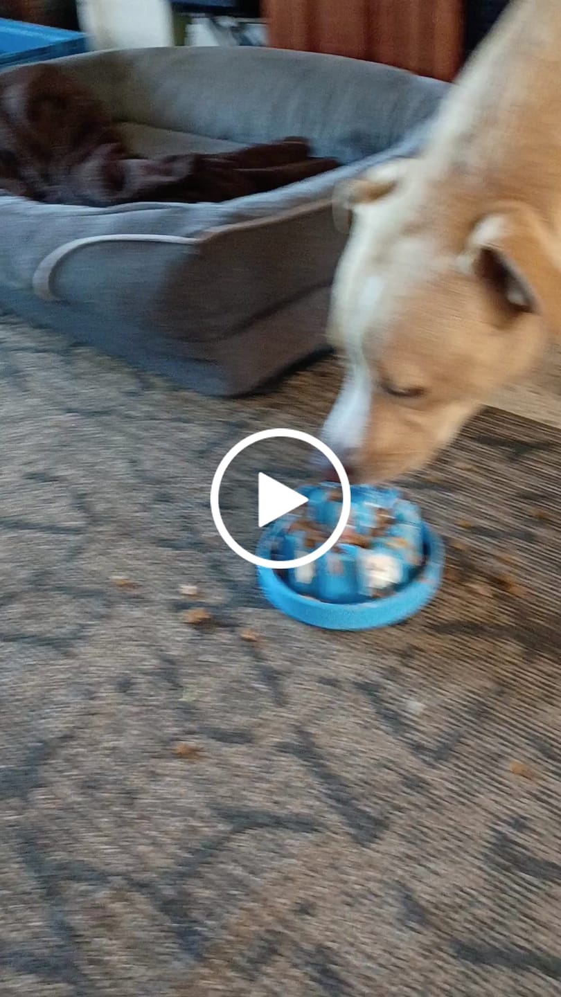 Customer video review of Bone Refills Dog Meat 90 Grams (4 Pack)®