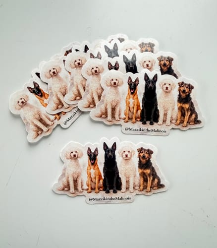 Customer photo review of Print Custom Stickers