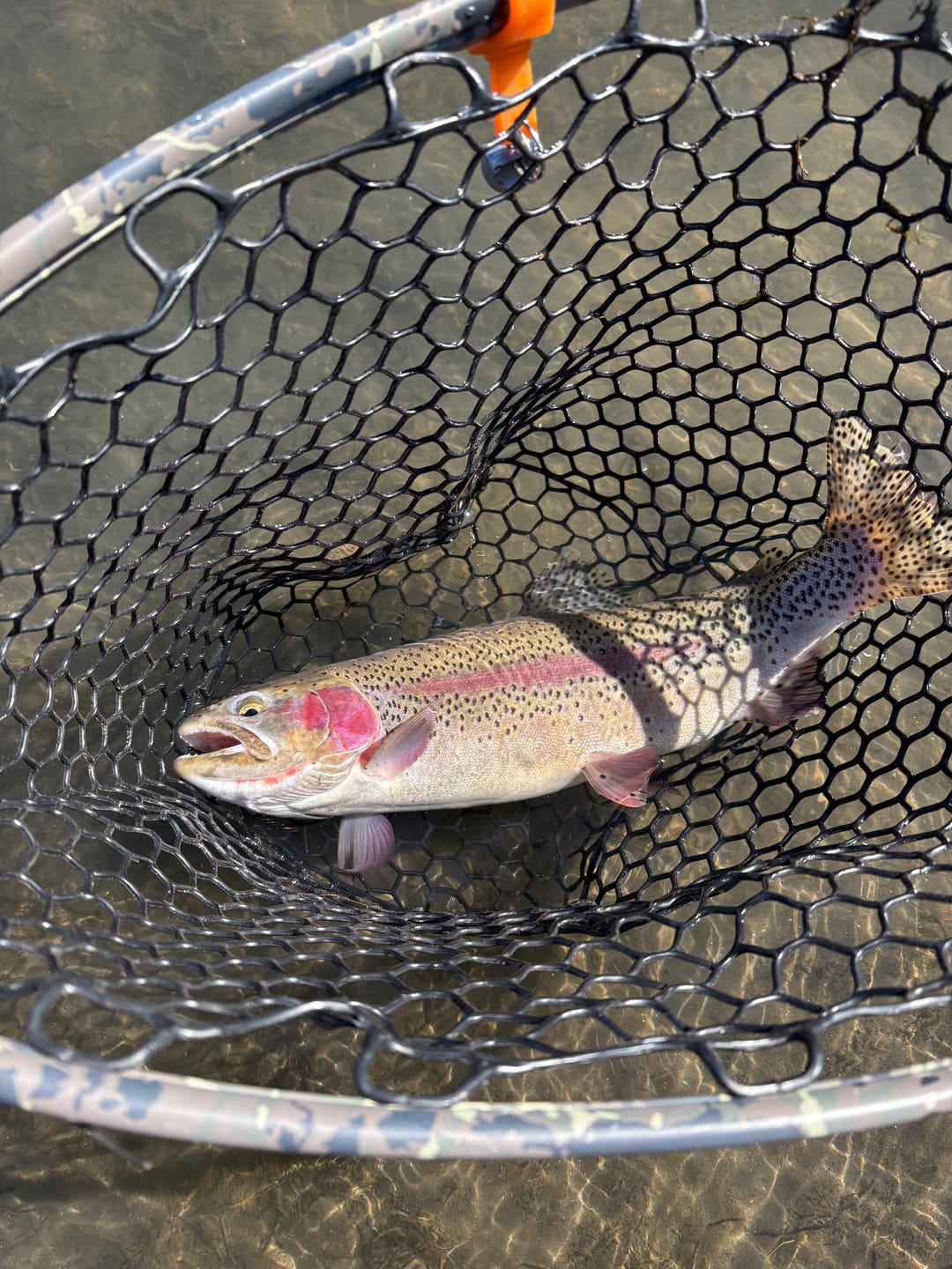 Customer photo review of Redington Field Kit Euro