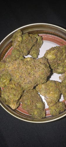 Customer photo review of Khalifa Kush THCA Flower