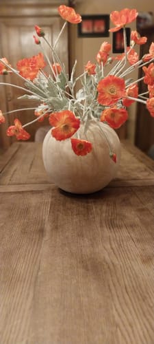 Customer photo review of Terra vase - Beige