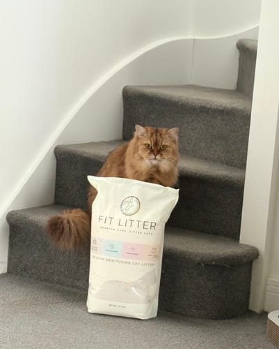 Customer photo review of 1 Month Supply – 2 Cat