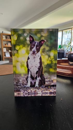 Customer photo review of 15 x 23 cm Free Standing Acrylic Photo Block