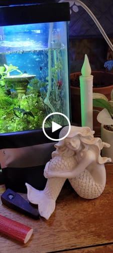 Customer video review of Sugar Shake - 1oz