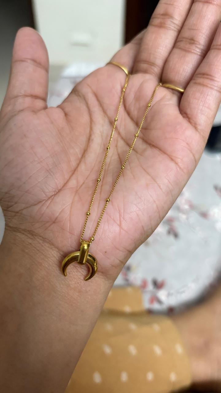 Customer photo review of Tiny Horn Necklace
