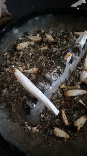 Customer photo review of Bulk THCA Flower Pounds