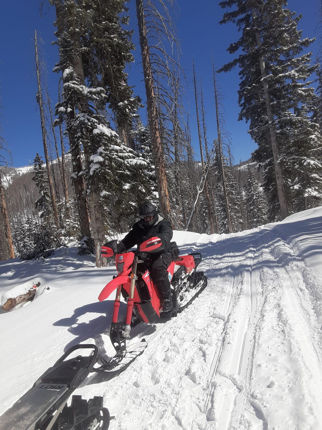Customer photo review of HWK Motorcycle Pants