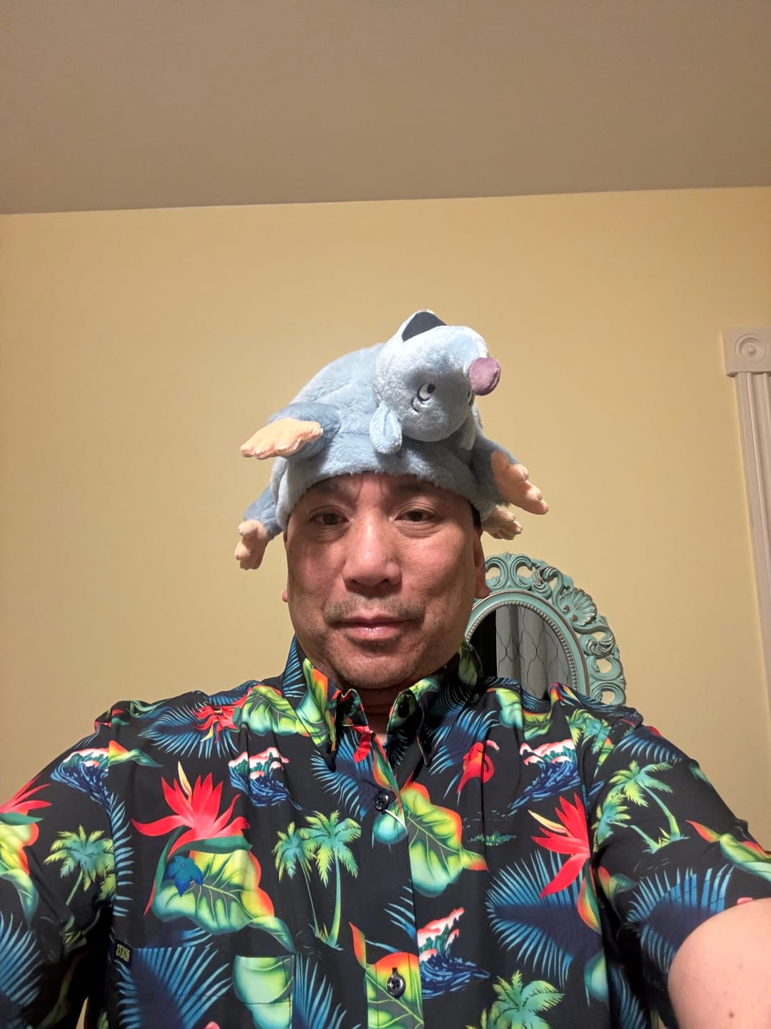 Customer photo review of Disney's A Goofy Movie "Lester's Possum Pal" – Plush Hat