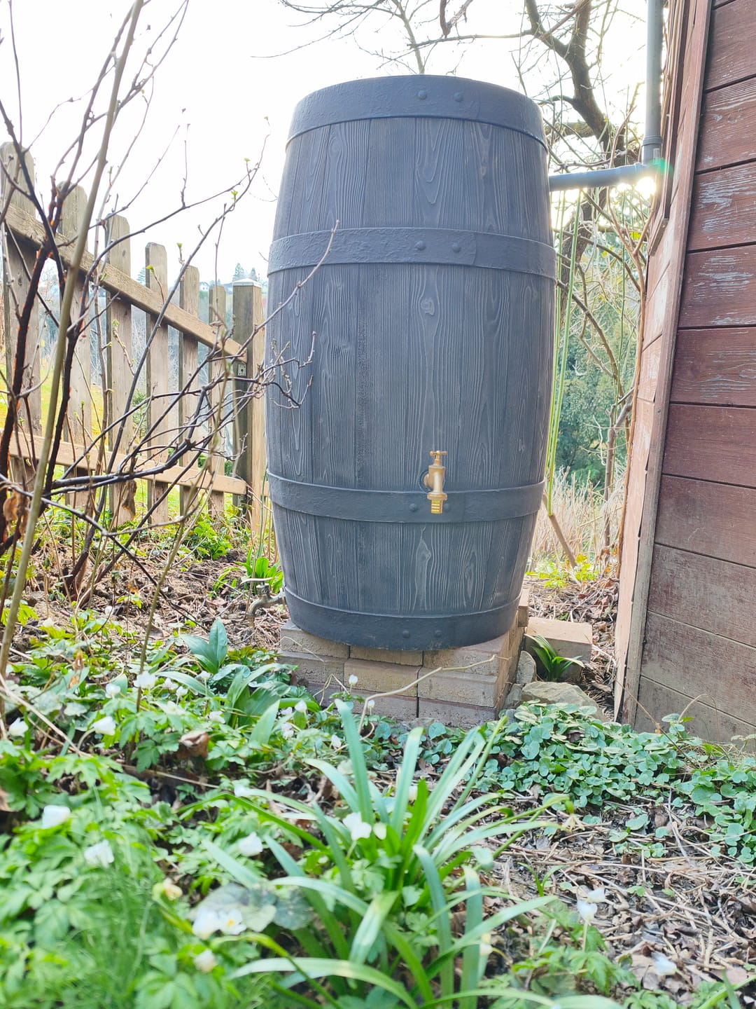 Customer photo review of YourCasa Regentonne 250 Liter [Timber] - Frostsicher & UV-beständig