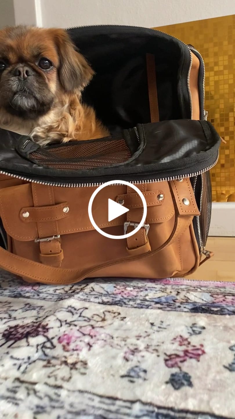 Customer video review of Leather Pet Backpack