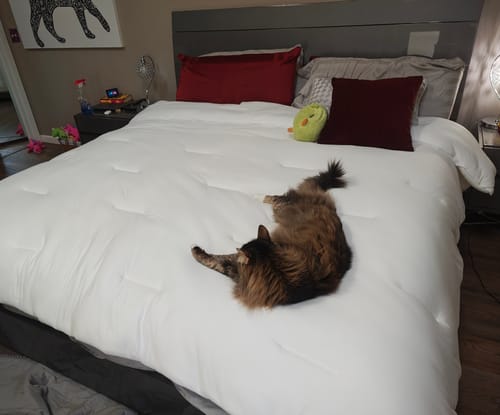 Customer photo review of MarshMellow Comforter