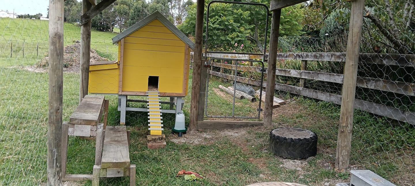 Customer photo review of Drink-o-Matic 3L Chicken Drinker with Legs