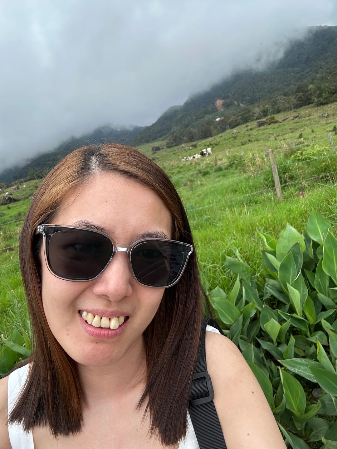 Customer photo review of Taylor Rectangular Framed Sunglasses