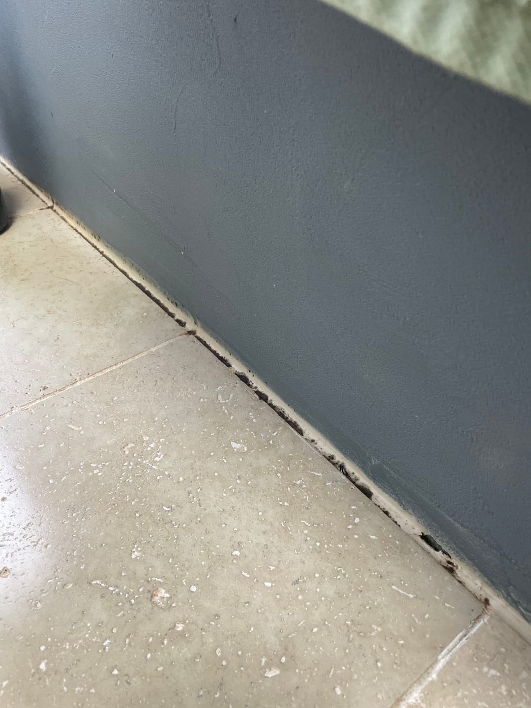 Customer photo review of GLASSGUARD® Miracle Mould Removal Gel