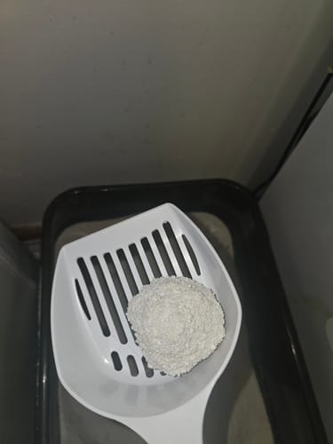 Customer photo review of Michu Wonder Litter - Plant-Based & Automatic-Box Friendly 2.5kg/6L