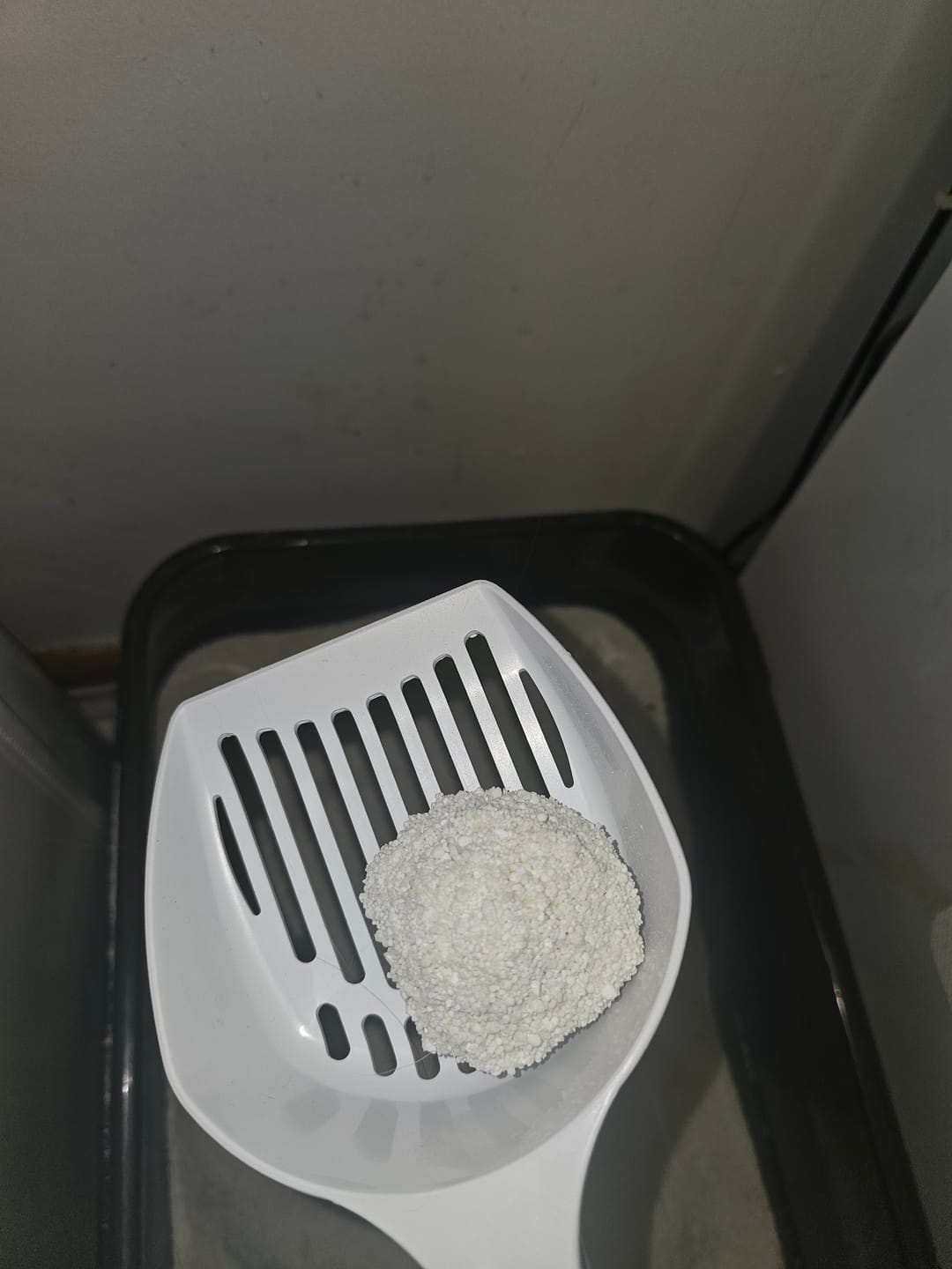 Customer photo review of Michu Wonder Litter - Plant-Based & Automatic-Box Friendly 2.5kg/6L