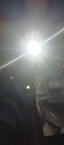 Customer photo review of Oolong Tea