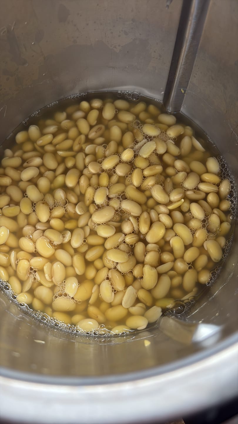 Customer photo review of BIO Tempeh Starterkultur