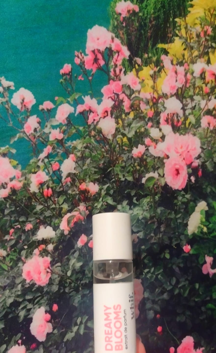 Customer photo review of Dreamy Blooms
