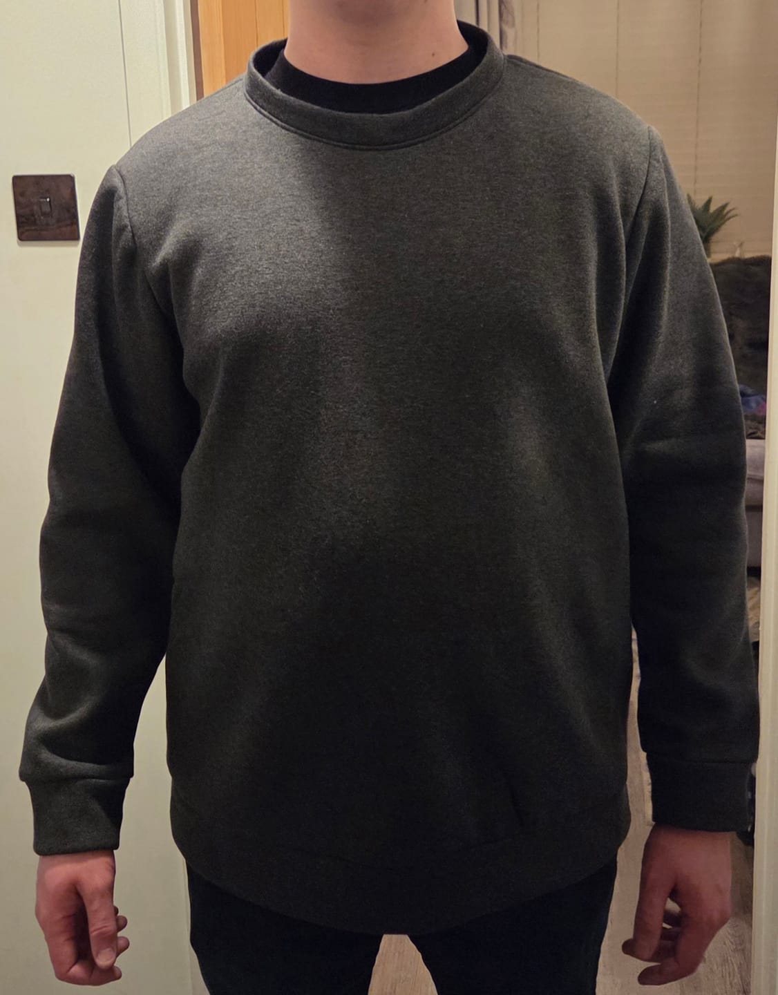 Customer photo review of Plain Sweatshirt Fabric