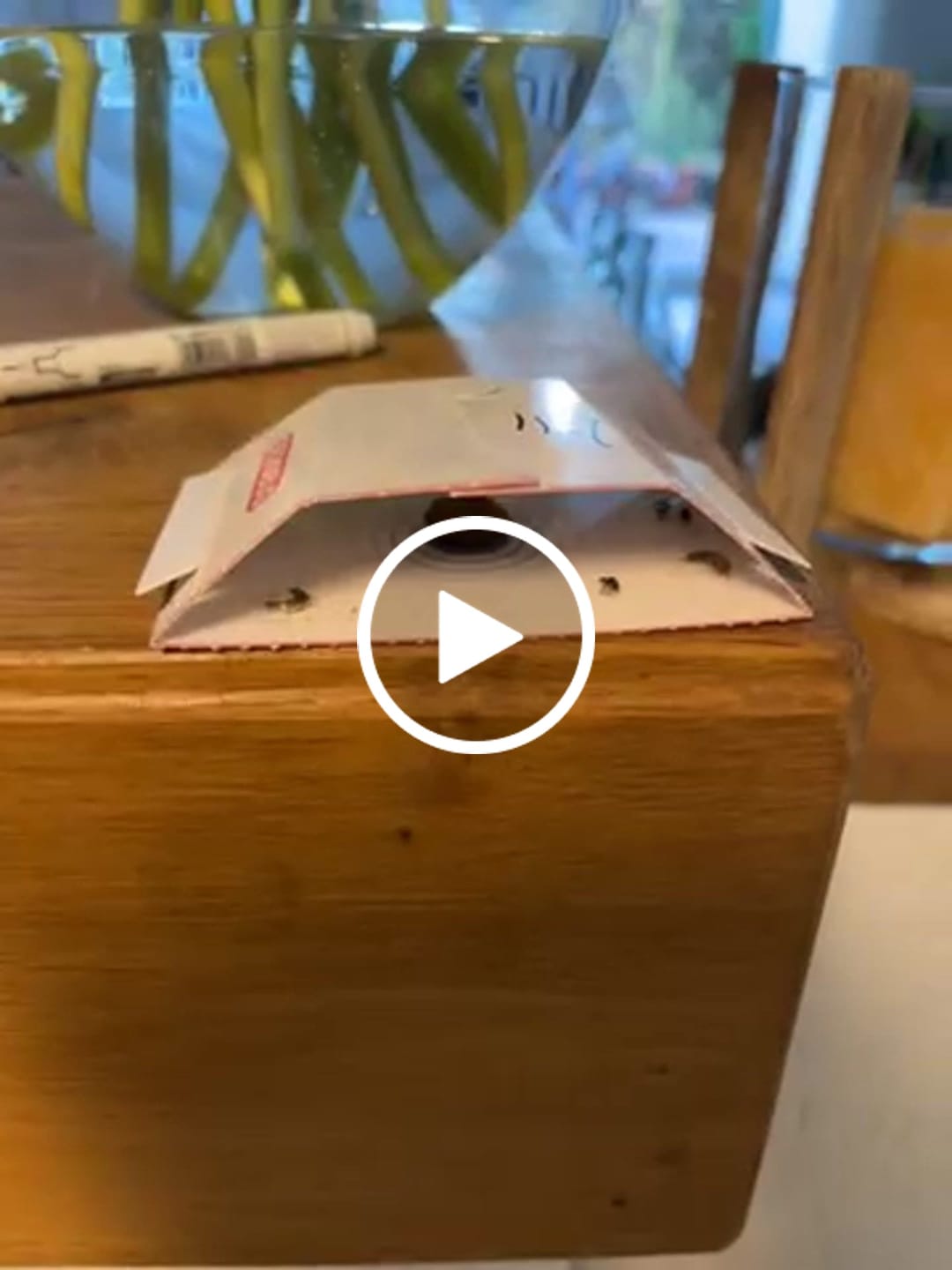 Customer video review of Silberfisch-Falle 12 Stück