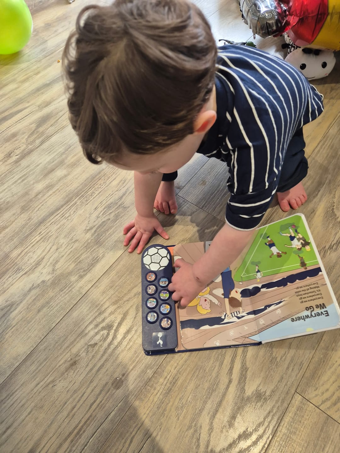 Customer photo review of Tottenham Hotspur Fan Chants Sound Book
