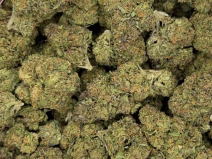 Customer photo review of Diamond Rain Runtz Greenhouse THCA