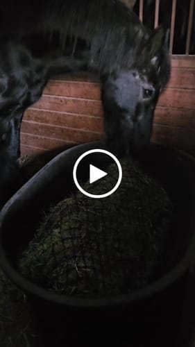 Customer video review of Hay Chix® 2-Strand Bale Net (Small Bale Net)