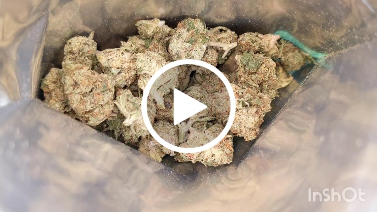 Customer video review of FREE SAMPLE (with code) THCa Flower