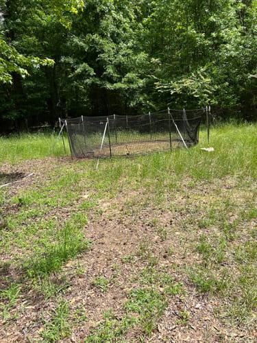 Customer photo review of Pig Brig Trap System