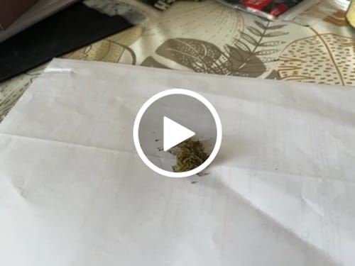 Customer video review of 🍓 Strawberry - POWER LVL: 4.5/5