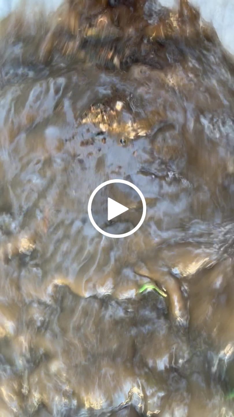 Customer video review of 888 Gold Rat sluice - with Mini cell Dream mat