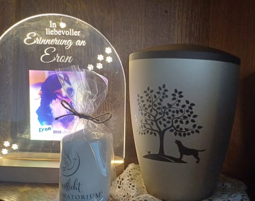 Customer photo review of Zur liebevollen Erinnerung – LED-Lampe für Hund/Katze