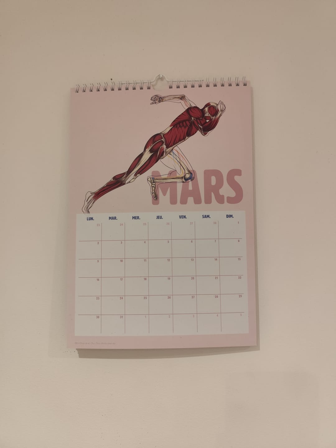 Customer photo review of Calendrier 2026 – Anatomie en Mouvement