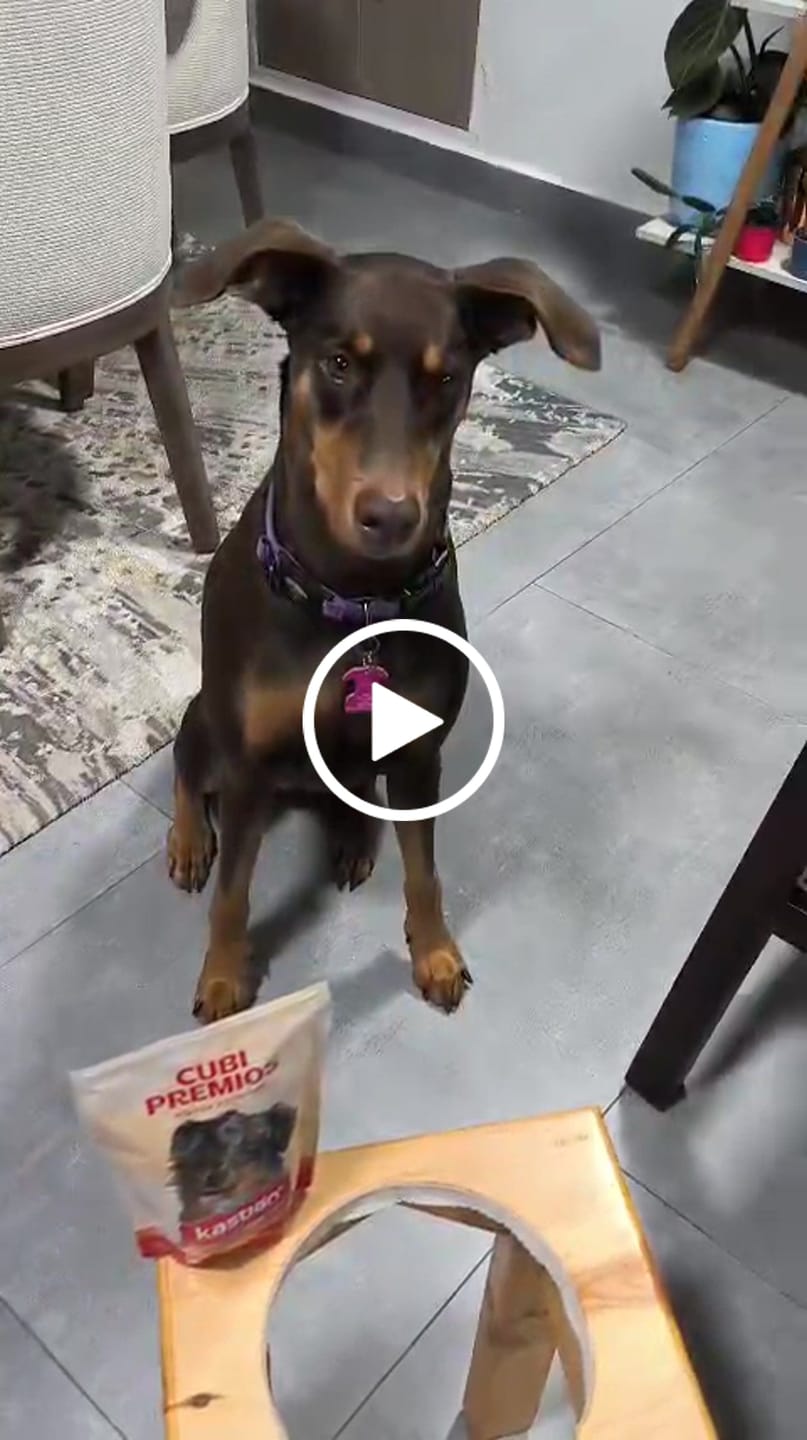 Customer video review of Cubipremios hígado horneado 300g