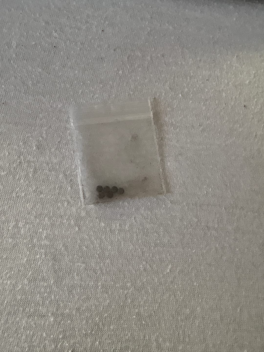 Customer photo review of 1Fe-LSD Pellets