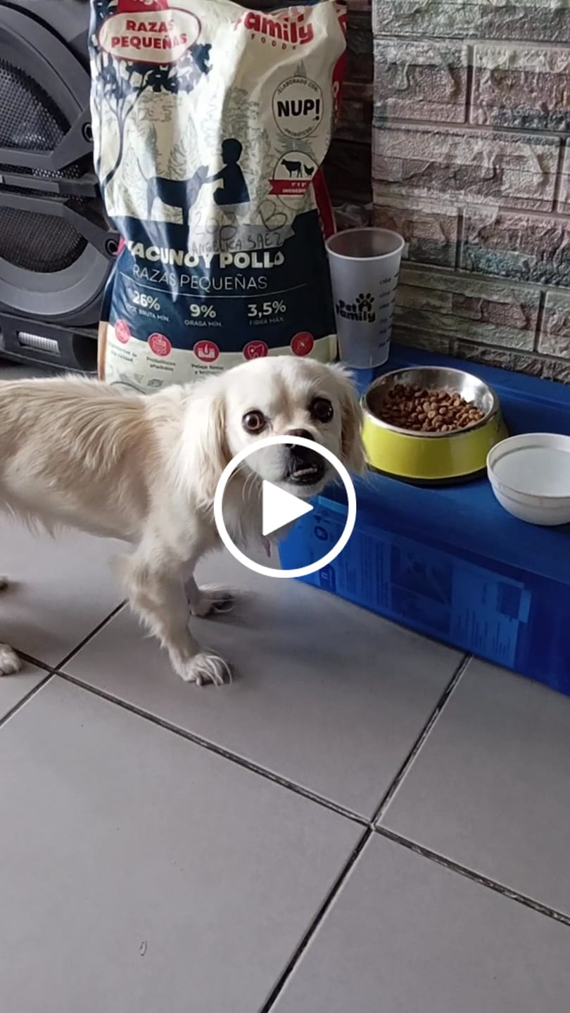 Customer video review of PetFamily Foods Razas Pequeñas