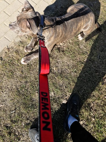 Customer photo review of Smycz dla psa z imieniem - Personal Leash