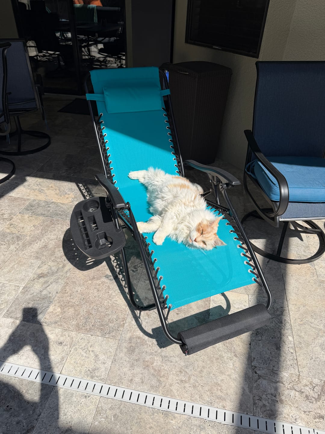 Customer photo review of Royal Canin Veterinary Diet - Urinary SO + Calm Dry Cat Food