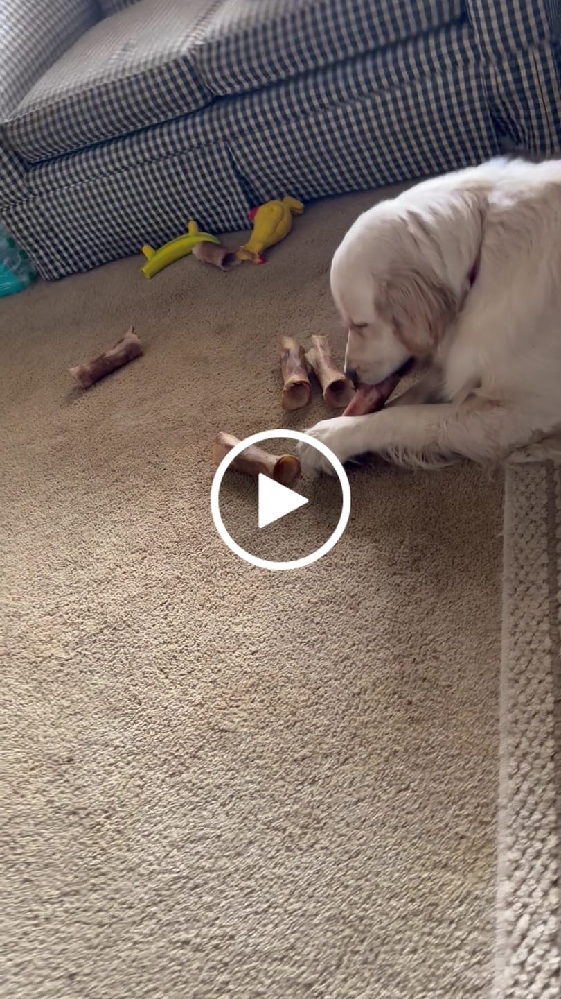 Customer video review of Large Dog Black Friday Bundle II (4x 5oz Jerky Bags + 4x LARGE Smoked Marrow Bones)