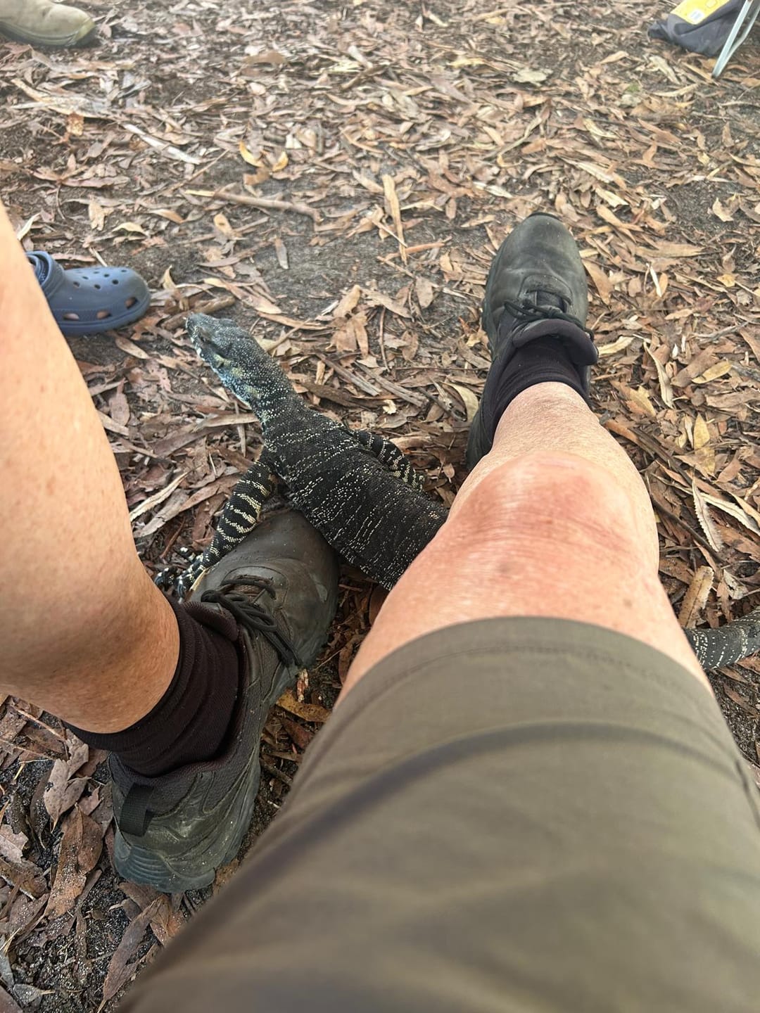 Customer photo review of LOCKEDOWN™ Heavy Duty Elastic Cargo Net