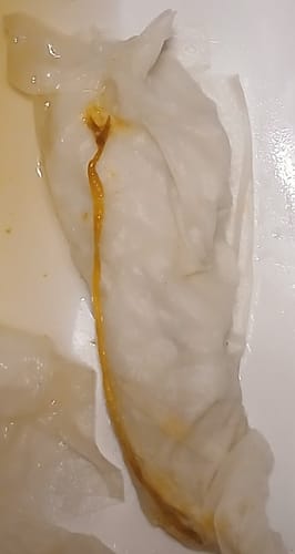 Customer photo review of Health Bible (Print + Digital) + Salt