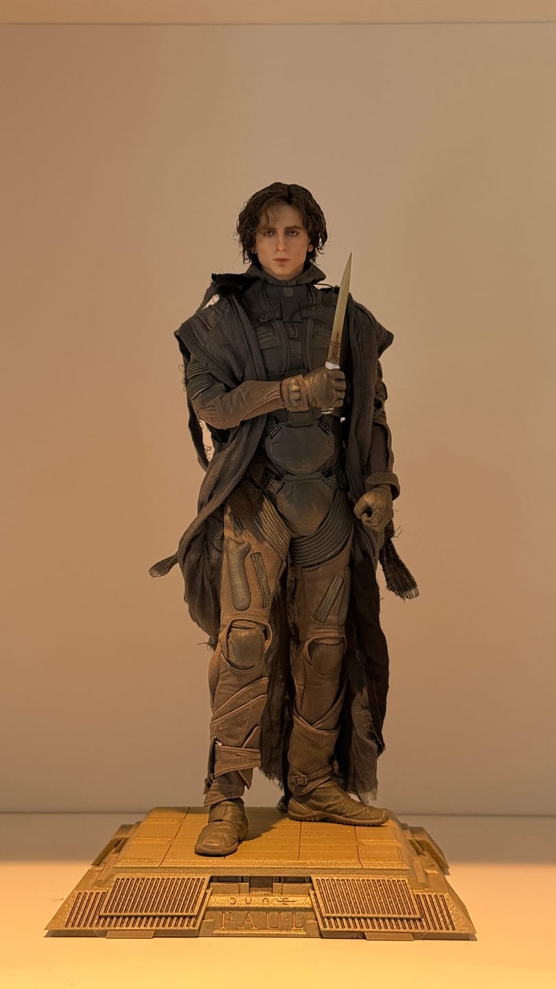 Customer photo review of Paul Atreides 1/6 Collectible Figure  - Standard & Deluxe Version