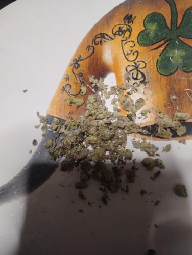 Close-up of a customer's ground Granddaddy Purp flower on a decorative plate.