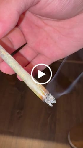 Customer video review of ROLLZ THCA Pre-Roll 1 g – Indoor